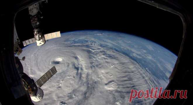 Ученые NASA обнаружили у космонавтов МКС изменения в иммунной системе — Мир космоса