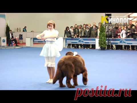 Женщина танцует с собакой