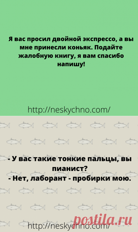 Только отборный юмор для суперского настроения на весь день!