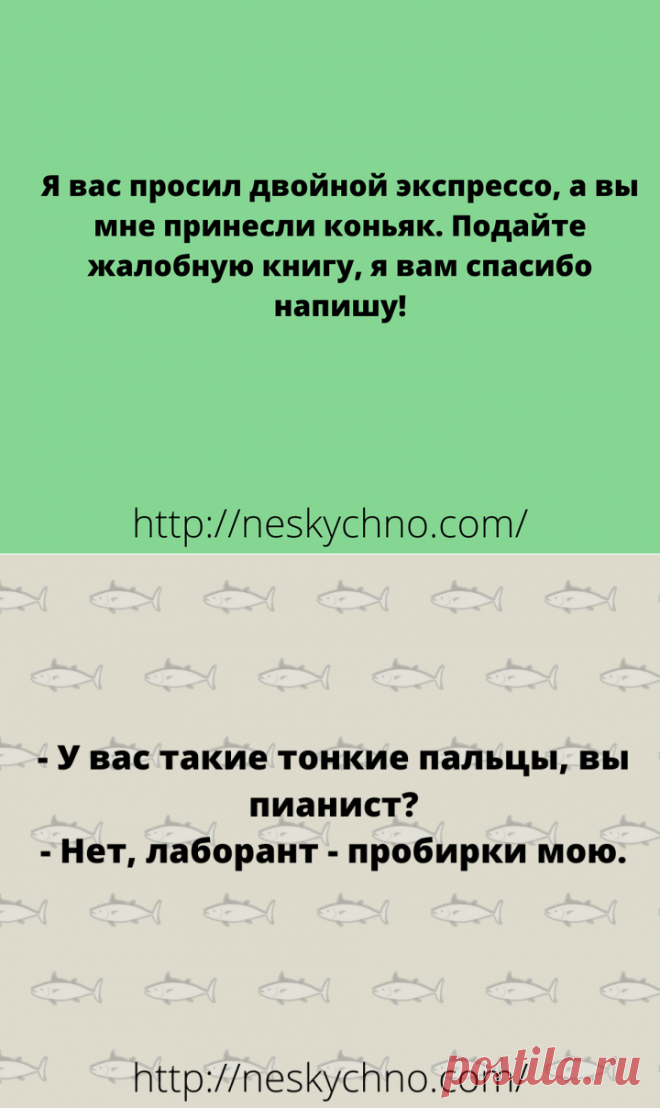 Только отборный юмор для суперского настроения на весь день!