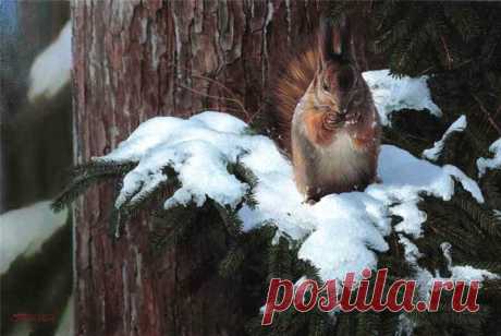 Художник Сергей Трухан