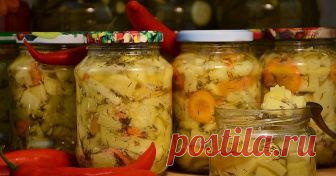 Хит сезона: Кабачки 