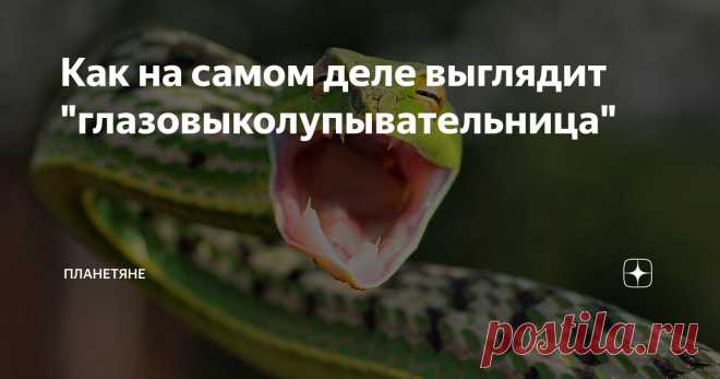 Как на самом деле выглядит 