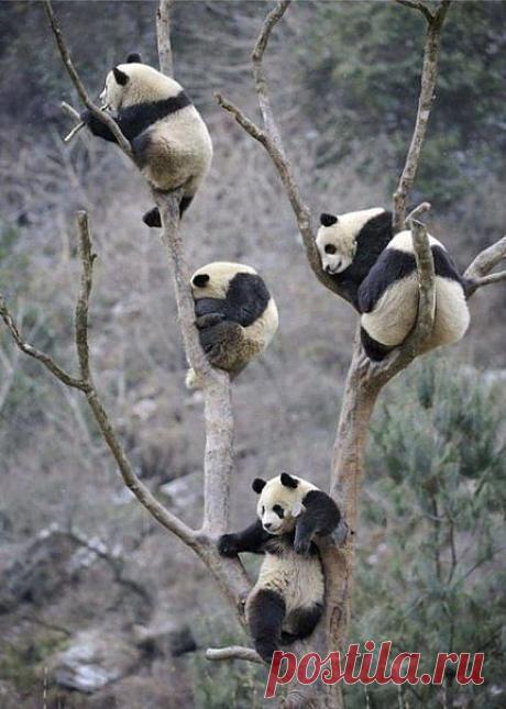 Ольга Карклин