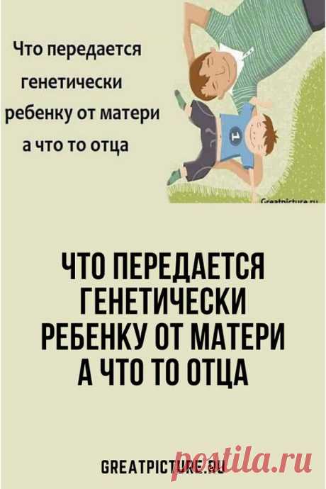 Что передается генетически ребенку от матери а что то отца исследования