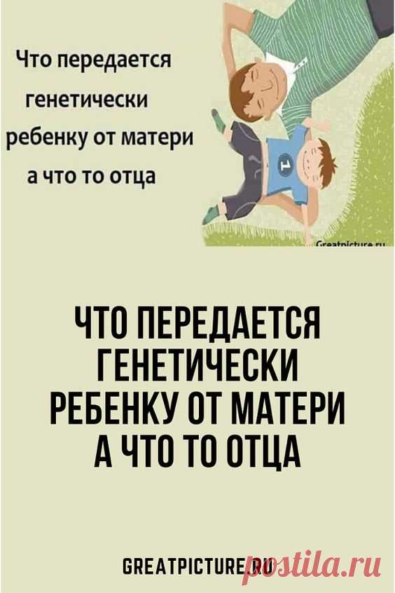 Что передается генетически ребенку от матери а что то отца исследования