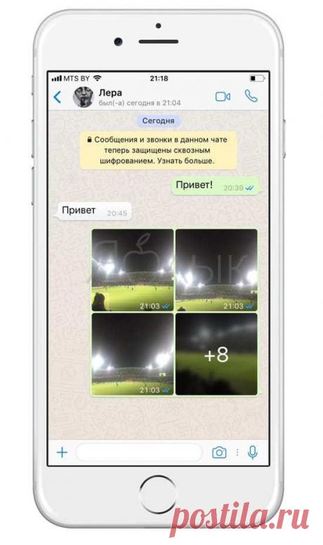 10 полезных опций WhatsApp, которые следует знать каждому — Копилочка полезных советов