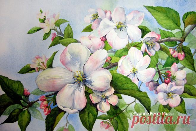 рисунки цветущих яблонь — Яндекс: нашлось 3 млн результатов