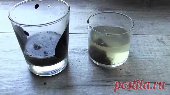 Самый необычный способ определения кислотности почвы!