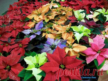 Мой Мир@Mail.Ru