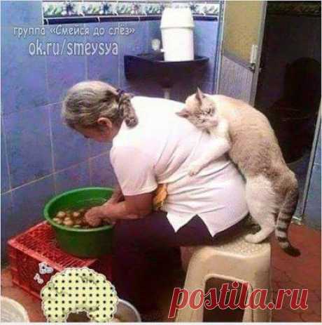 Кормилица ))