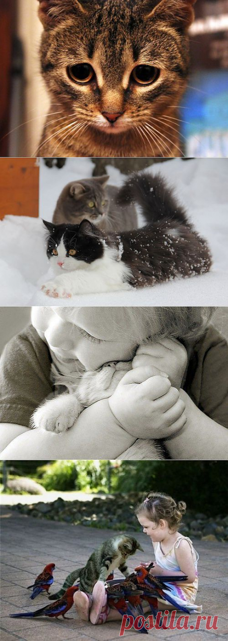 Мои закладки