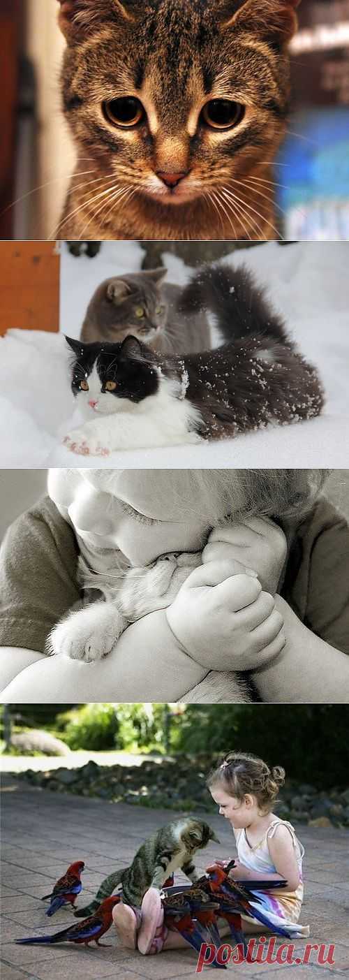 Мои закладки