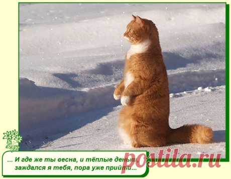 Хорошего Вам настроения.