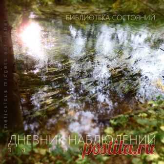 Библиотека состояний - Дневник наблюдений за природой - METICULOUS MIDGETS - сетевой арт-лейбл, интернет-радио