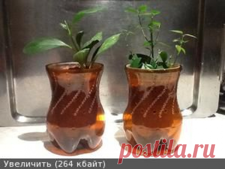 Горшки.аксессуары и необычные ёмкости для посадки цветов - Страница 9