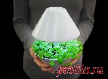 Лампа-вазон. 

Работа в интернете для студентов,пенсионеров,мам в декрете и всех,у кого есть свободных 2-3 часа в день.Без вложения денег.Без продаж. Дополнительная информация yspeshnayya.blogspot.com