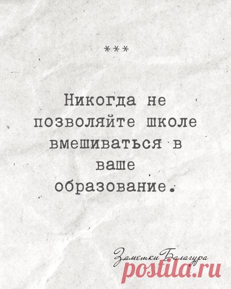О школьном образовании