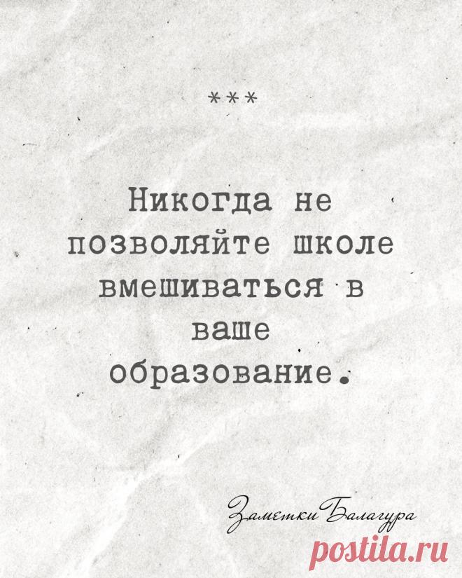 О школьном образовании