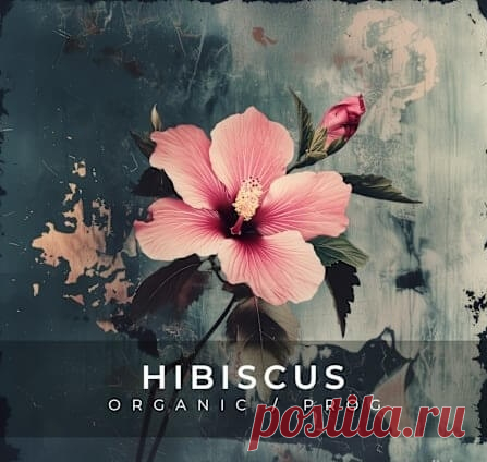 Zenhiser Hibiscus - Organic / Progressive [WAV] free download mp3 music 320kbps
