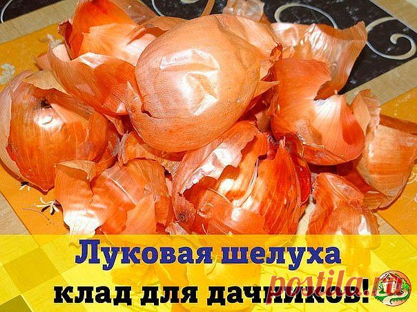 Одноклассники