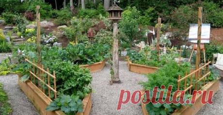Как сделать высокие грядки на даче: 100 полезных идей