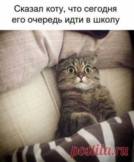 Бабушкина кухня - Главная