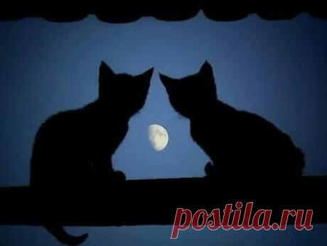 Google+