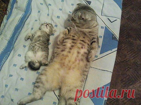Для Души. Добавлена фотография в  Позитив)))