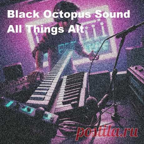 Black Octopus Sound All Things Alt WAV | 467.05 MB
Packed with a powerful selection of drums, basses, FX, synths, guitars, and 808s, this dynamic sample pack seamlessly fits into any groove, making your track explode with energy. No matter your alternative production style, these sounds are perfect for crafting short, thrilling, and captivating music.