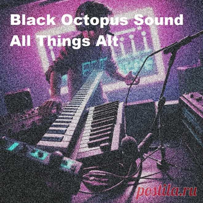 Black Octopus Sound All Things Alt WAV | 467.05 MB
Packed with a powerful selection of drums, basses, FX, synths, guitars, and 808s, this dynamic sample pack seamlessly fits into any groove, making your track explode with energy. No matter your alternative production style, these sounds are perfect for crafting short, thrilling, and captivating music.