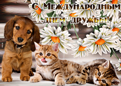 С Днем дружбы тебя поздравляю,
Ведь дружба ценнее валюты.
Ценнее богатства и злата.
Дороже алмазов и шубы.
