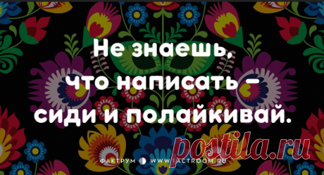 ПОЗИТИВ – 339 фотографий