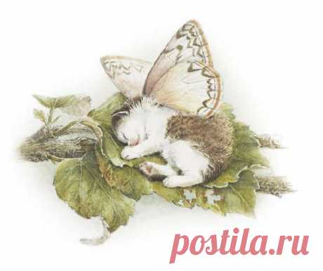 attachment.php (581×488)