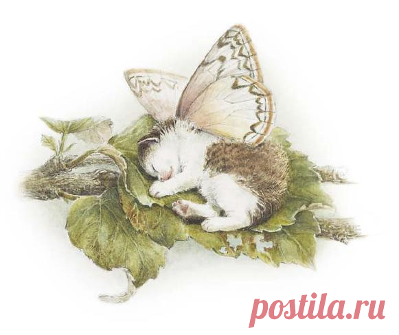 attachment.php (581×488)