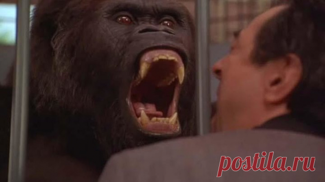 Ползком от гангстеров HD(комедия)1994 (6+)