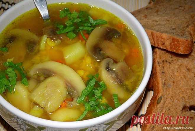 Вкусные домашние рецепты супов