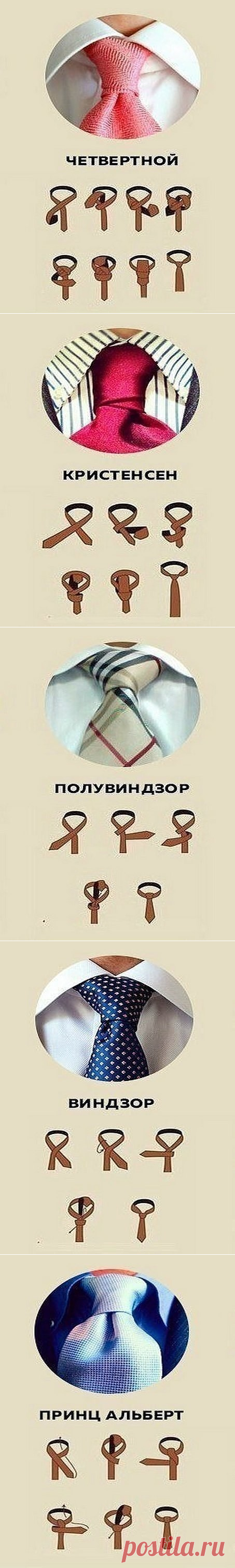 Показываем, как можно завязать галстук