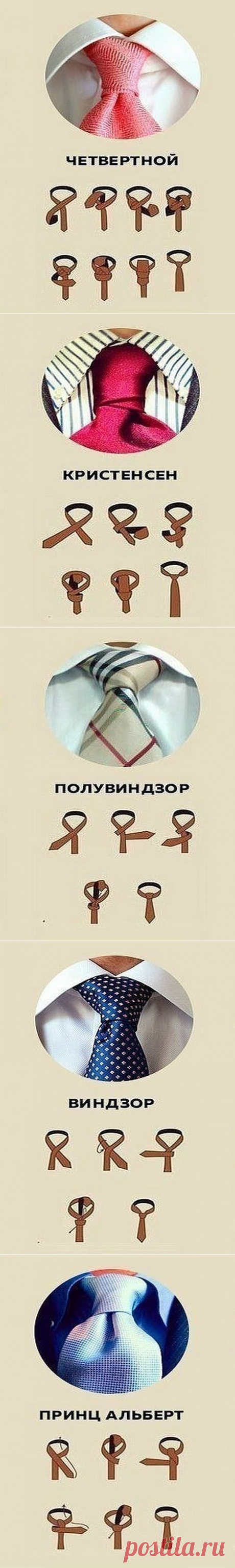 Показываем, как можно завязать галстук