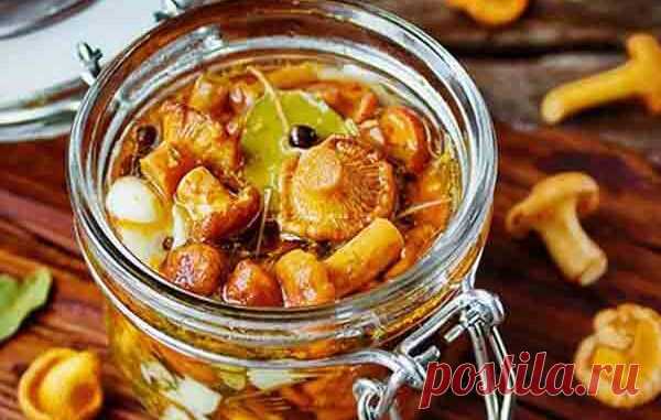 Лисички маринованные на зиму - Кулинарные рецепты 