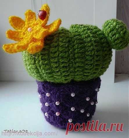 Вязаные кактусы .