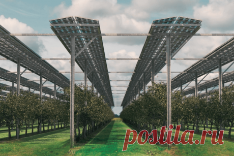 🔥 Исследователи оценили потенциал агровольтаики в Европе с учетом климатических и земельных ограничений
👉 Читать далее по ссылке: https://lindeal.com/research/issledovateli-ocenili-potencial-agrovoltaiki-v-evrope-s-uchetom-klimaticheskikh-i-zemelnykh-ogranichenij