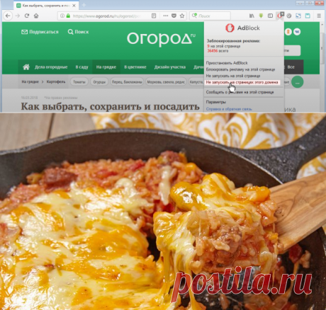 Ленивые рецепты: голубцы, вареники и еще 6 вариантов для занятых хозяек | Дачная кухня (Огород.ru)