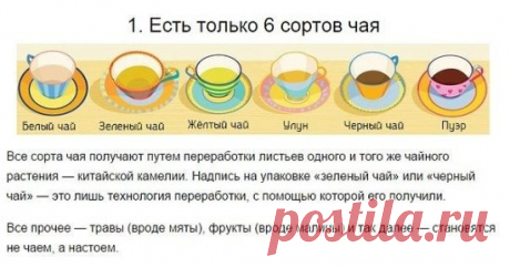 Kак правильно пить чай
Люди по всему миру любят чай и пьют его каждый день: утром — чтобы взбодриться; вечером — чтобы согреться; днем — на работе, в гостях или в кафе. Но мало кто знает, как его нужно заваривать, чтобы он отдавал весь свой вкус и аромат до последней капли.