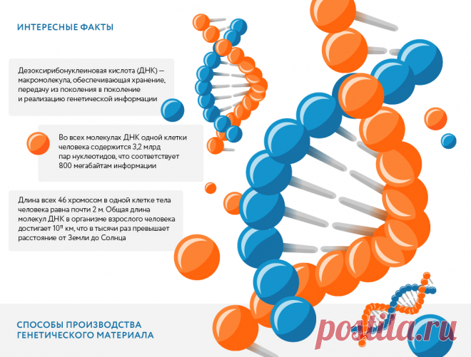 О достижениях генной инженерии в борьбе с наследственными заболеваниями человека