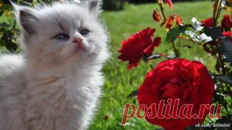 Новости