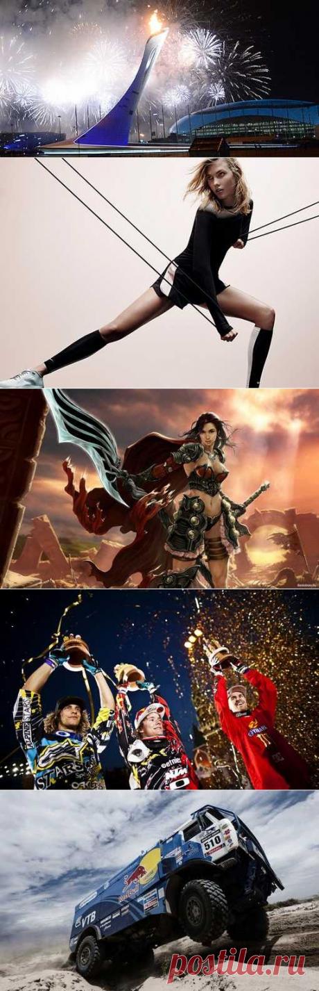 Теннис, Петанк, Велосипедный спорт, Борьба греко-римская. (1/1) - Спортивный форум. - Спортивный сайт