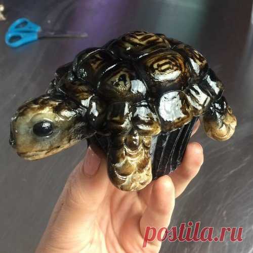 3D-торты от Молли Роббинс