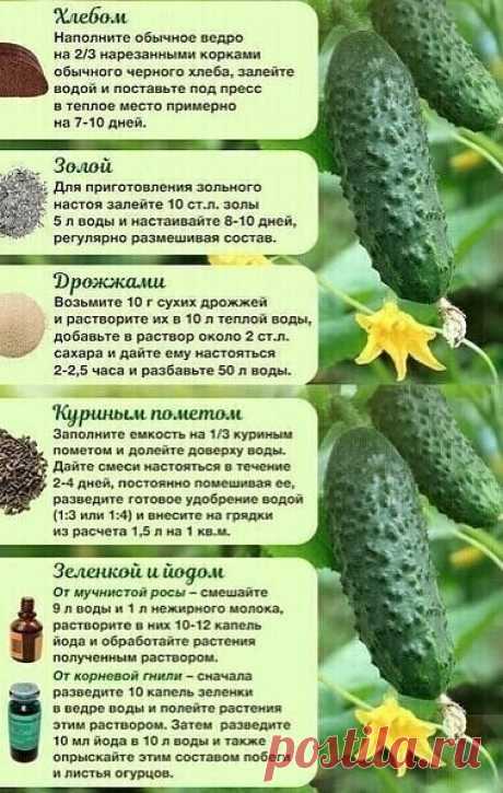 На заметку дачникам!