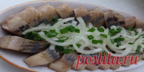 СЕЛЁДОЧКА В БАНКЕ — БОЧКОВОЙ ЗАСОЛ. — Копилочка полезных советов